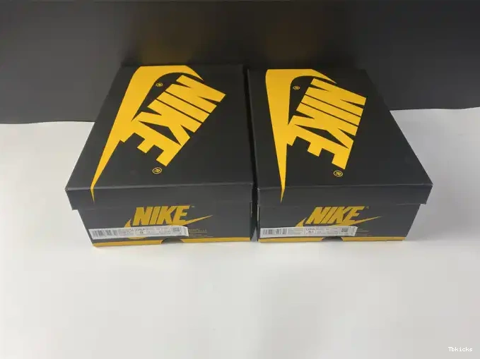 Reps TBK OG Pollen Jordan High 555088-701 Retro 1 Air 0425